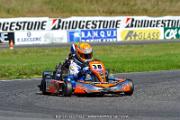 DSC_ (1193)